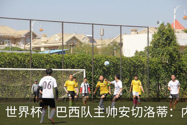 世界杯｜巴西队主帅安切洛蒂：内马尔可踢满90分钟
