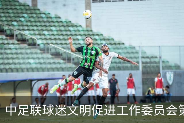 中足联球迷文明促进工作委员会第一次会议在青岛召开
