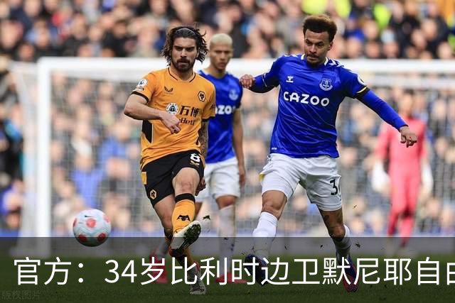 官方：34岁比利时边卫默尼耶自由身加盟桑德兰，签约两年