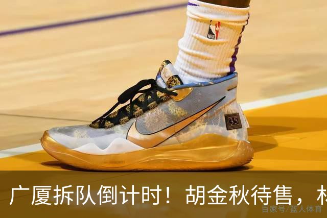 广厦拆队倒计时！胡金秋待售，林秉圣走人，民企没钱玩不转CBA了