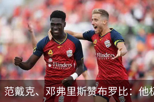 范戴克、邓弗里斯赞布罗比：他极难对付 和卢卡库有相似之处